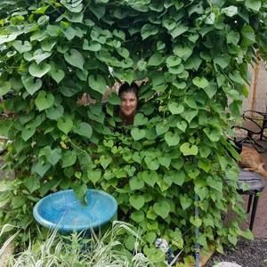 Meet your Posher, Noreen